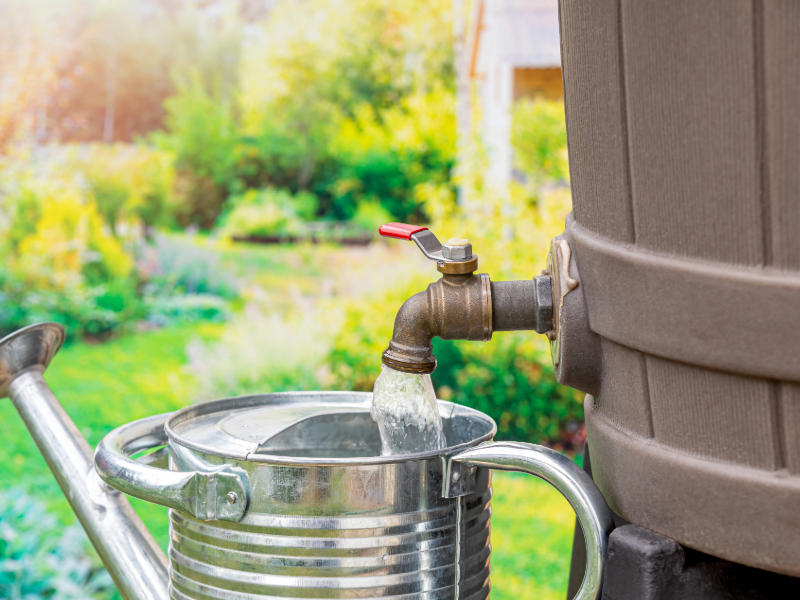 Upcycling Rainwater
